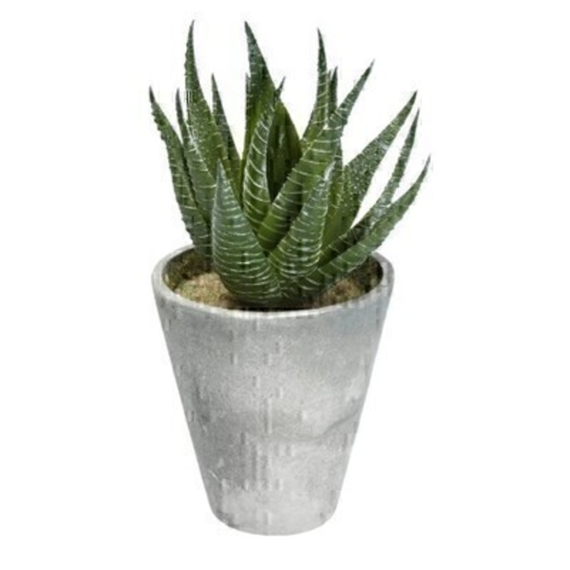 A realistic faux aloe vera plant in grey pot. The artificial plant is made by the Londer designer Gisela Graham who designs really beautiful gifts for your home and garden. Would make an ideal gift for a gardener or someone who likes plants. Would look good in any home and would suit any decor.